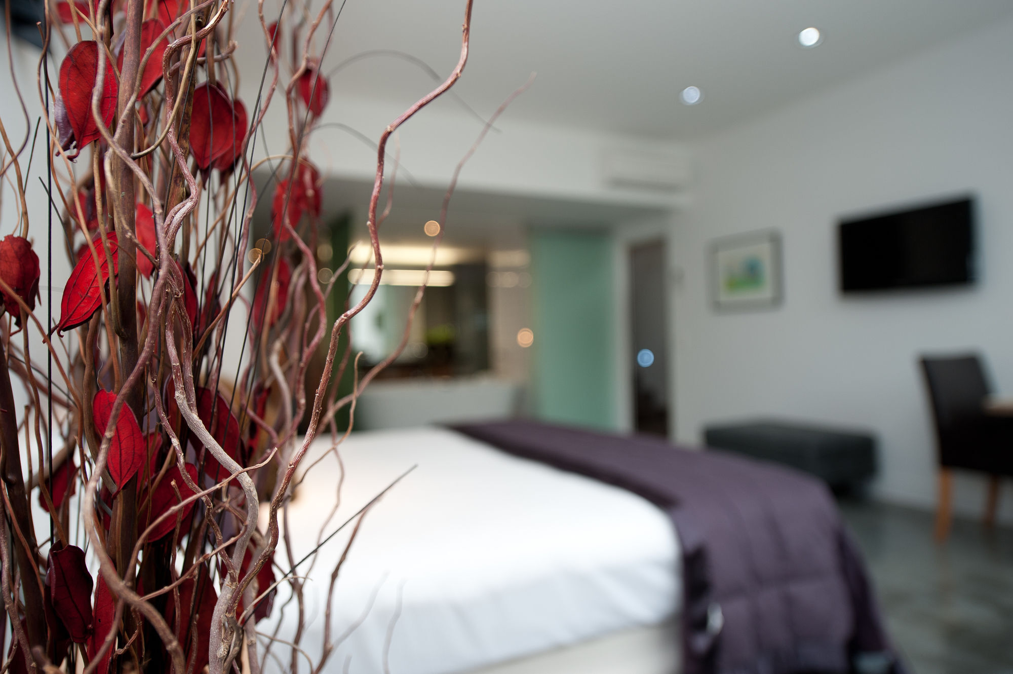 The Arrow Hotel Эрроутаун Экстерьер фото
